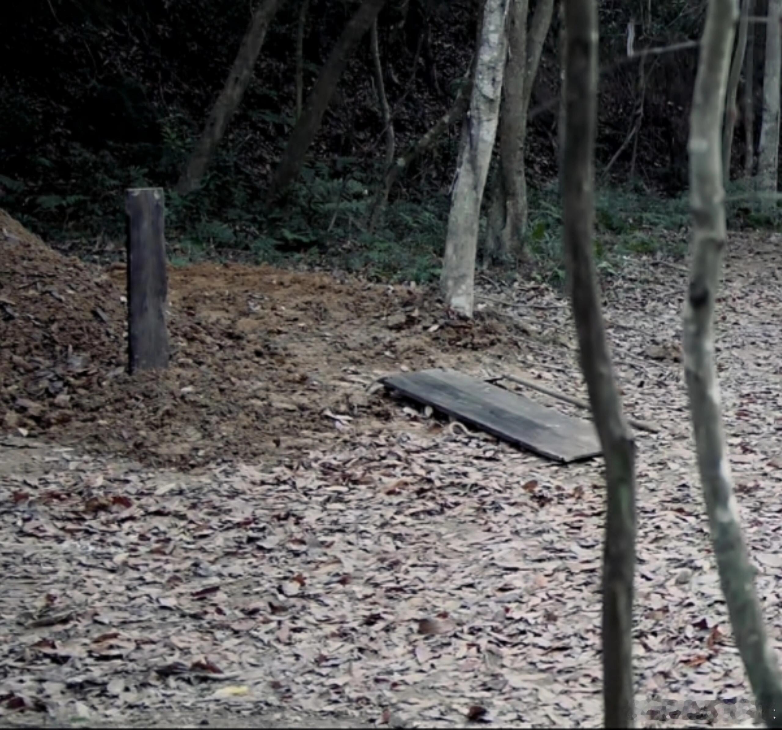 长安二十四计只有28集的原因找到了 谢淮安一人能顶一个团，啥事都得亲自冲，集数少