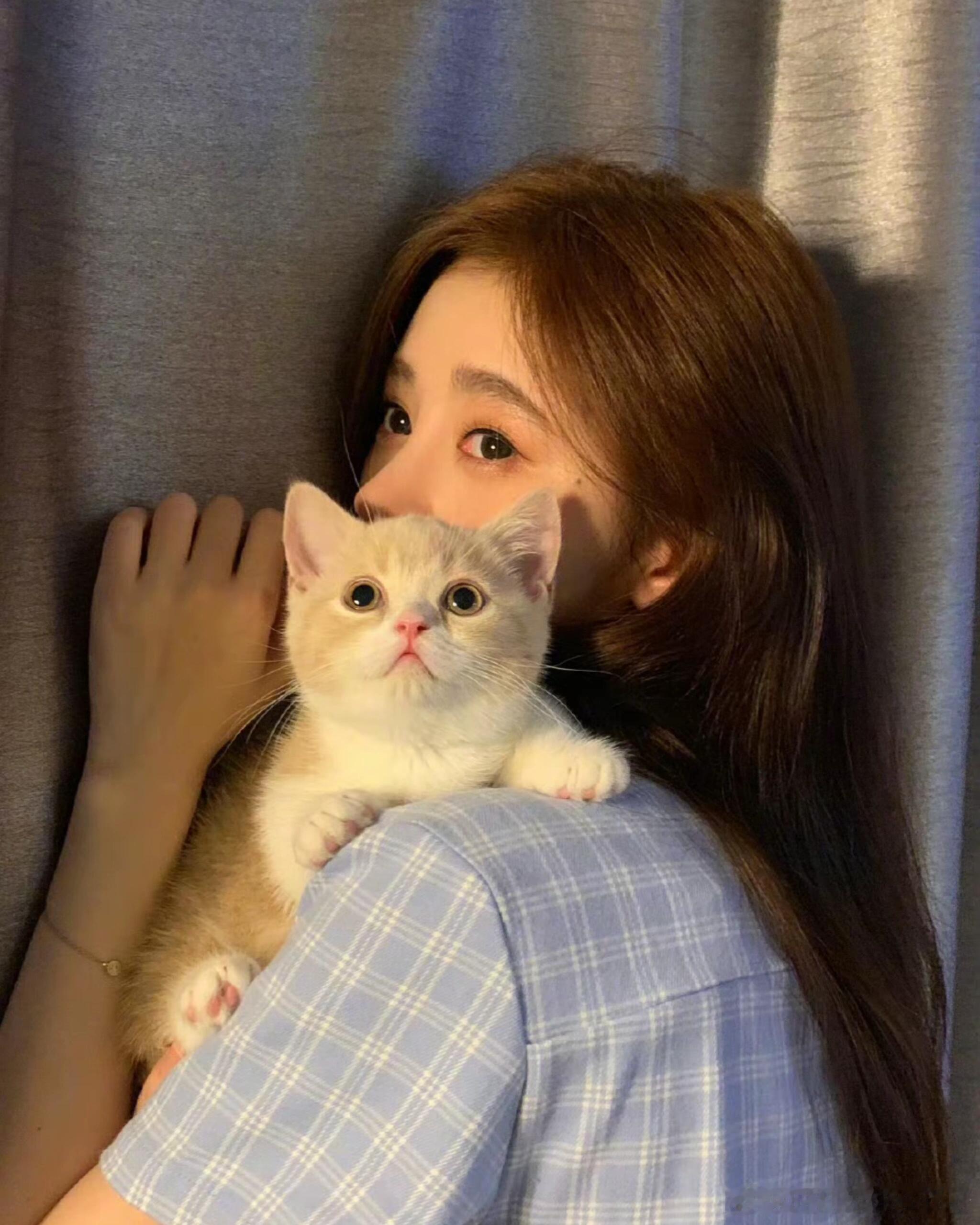 鞠婧祎鞠婧祎的猫也有番位 没有刻意营销猫咪，只是日常随性分享，却让几只带番位的小