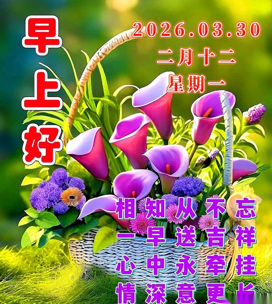 手机“嗡”地一声，屏幕亮了，弹出来一行字：“2026年3月30日”。
我正手忙脚