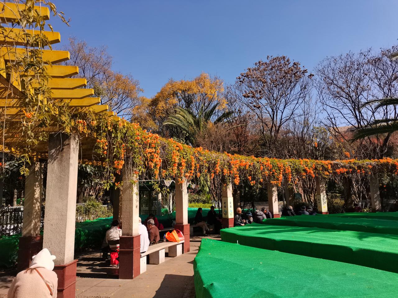 一个北方的游客冬天来到昆明意味着什么？意味着人生观世界观的重塑，意味着几十年形成