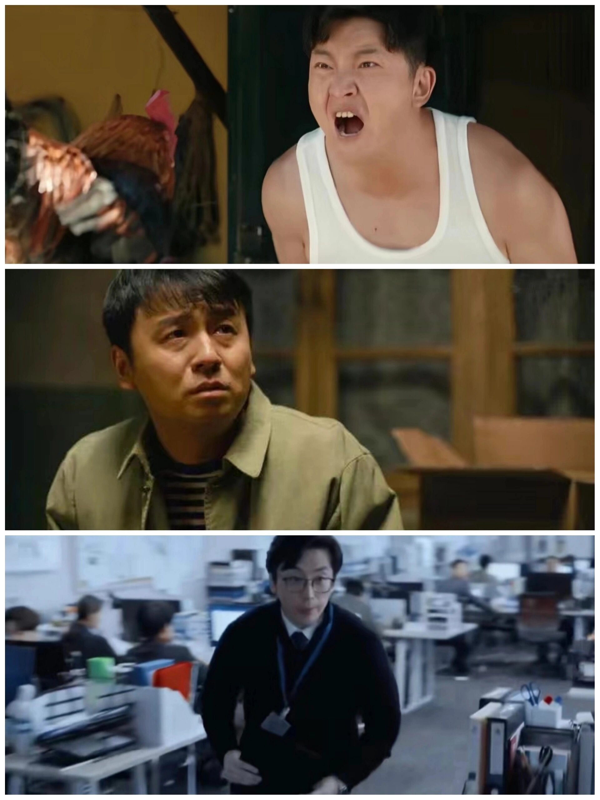 内娱窝囊废三大巨头 哈哈哈哈哈哈我真的要被笑拥了网友真的好会评！雷佳音、白客、郭