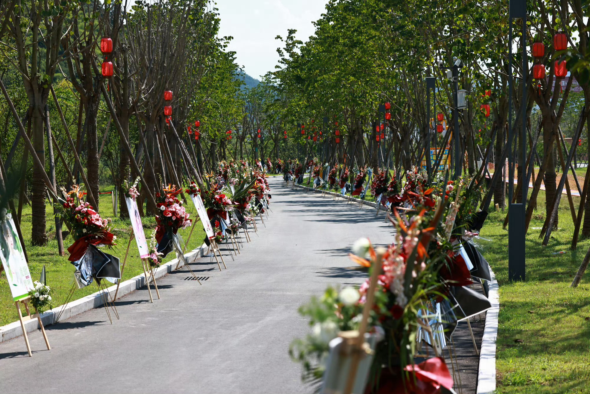 “你走的路要繁花盛开，要人声鼎沸。” ​​​