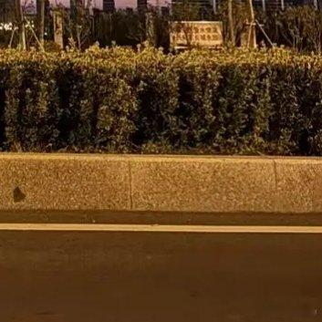 你不必知道所有答案我问你一个问题：你焦虑的时候，是不是总想弄明白“为什么”？为什