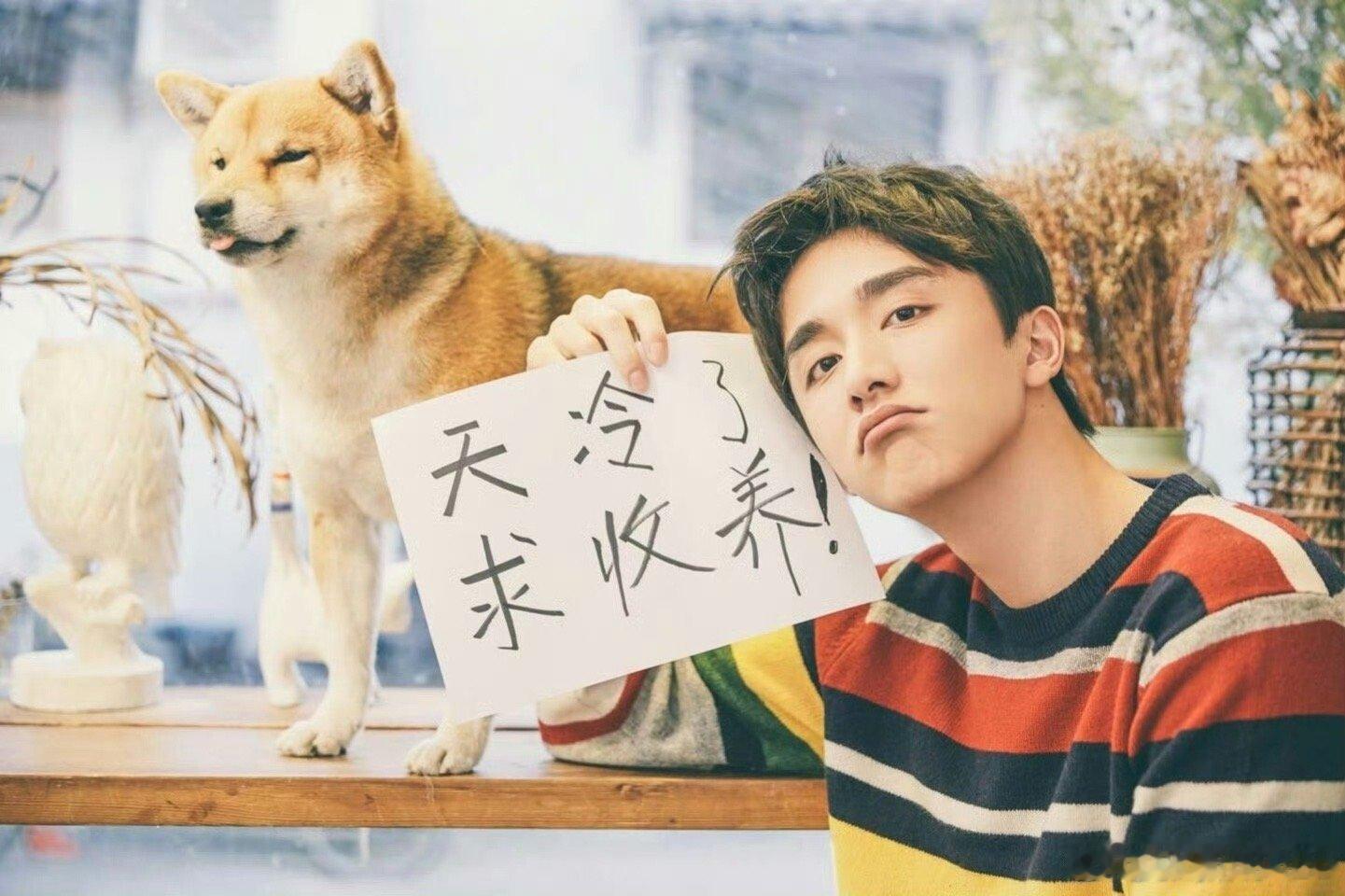 狗塑自己的图又+1我来养宝宝🦮·张新成提名百花奖最佳男配 ·张新成新程newj