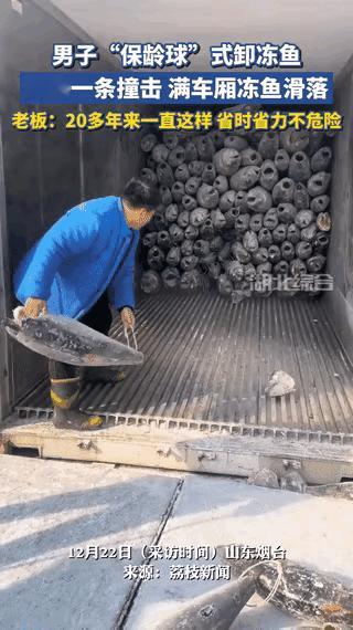 太有头脑了!山东烟台，一装卸工人在卸冻鱼时，为保护自身安全，用"保龄球"的方式卸