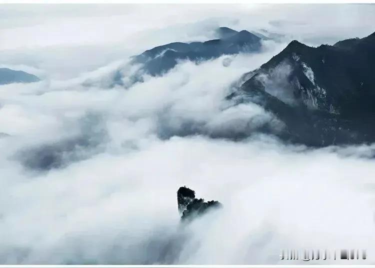 醉意难消
折枝攀桂上云霄，
风动京城意未消。
千里鸡鸣行好运，
一帆风顺趁春潮。