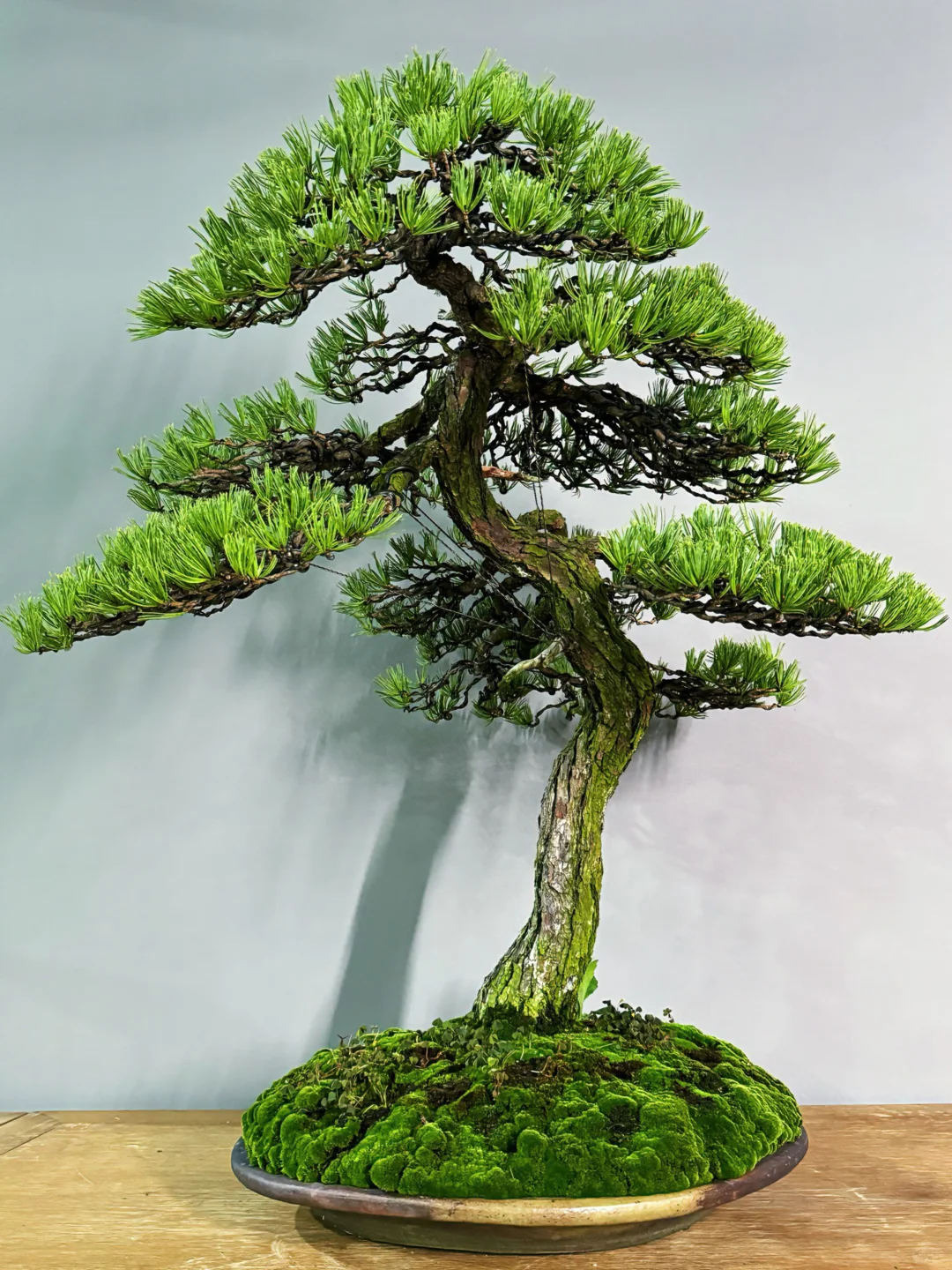 人生于世，需要有一点高于柴米油盐的品相。