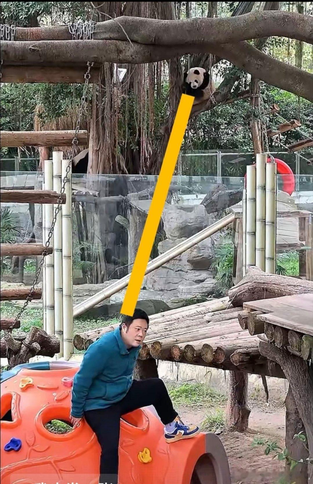 墩墩奶爸背后发凉啊，背后有四只眼睛盯着他好奇和她闺女奇颖怕是吃醋了 