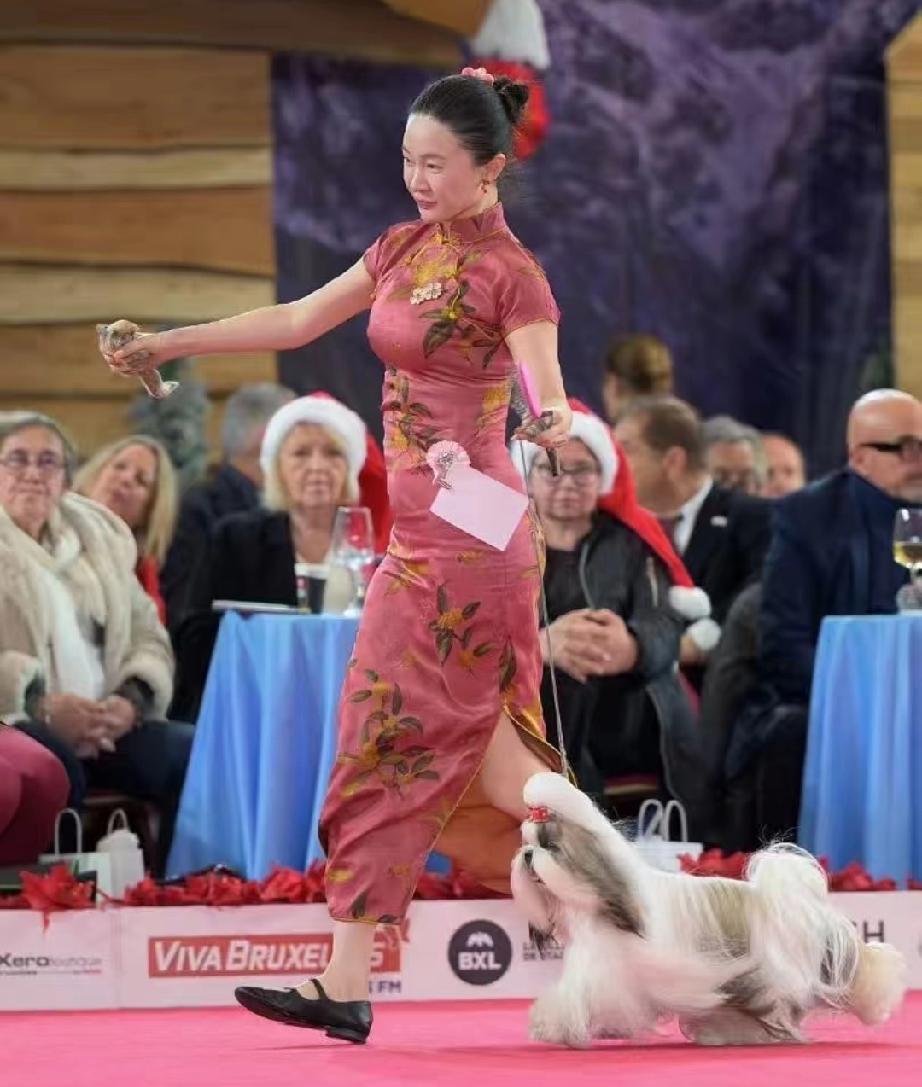霍思燕穿旗袍牵犬比赛，精修图和生图差别还是挺大的。霍思燕这次在国际犬展上获奖，老