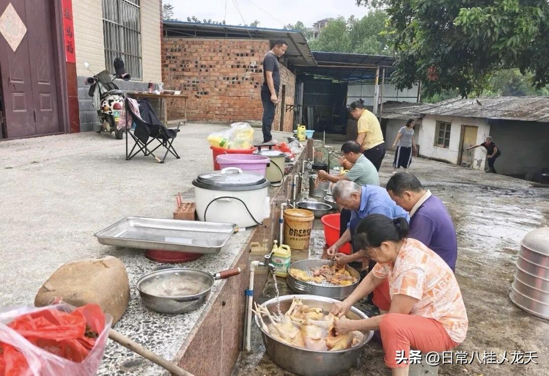 广西农村满月酒！亲朋互帮备宴，酒过三巡猜码声四起🧧

村里办喜酒，不靠酒楼，全