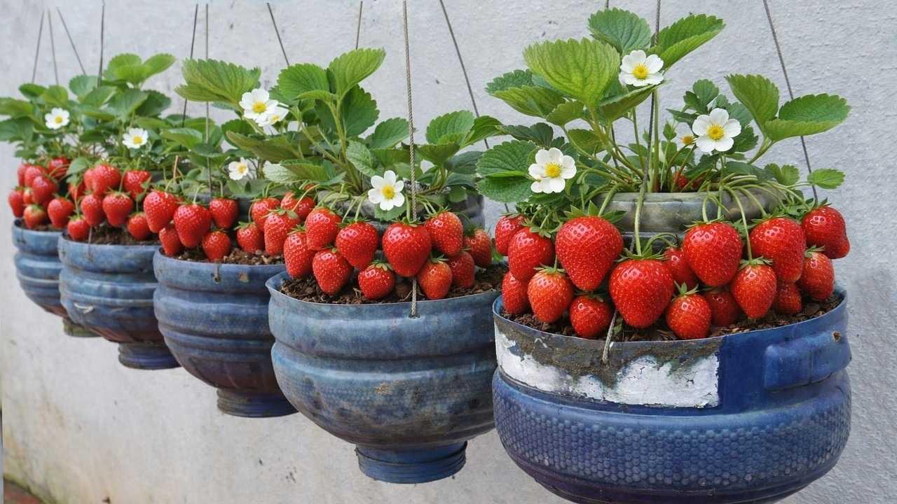 2026年4月16号6点，这可是个有不少事儿发生的时刻。深圳消防早在4月15号就