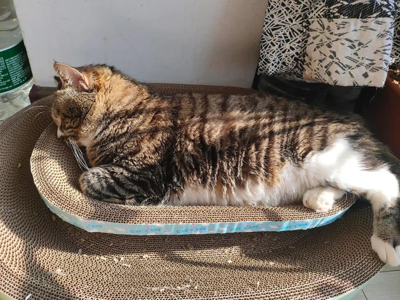 其实是否读懂，与文化无关。毕竟绝大多数人都是生活在物质世界。而主人公是在极高的精