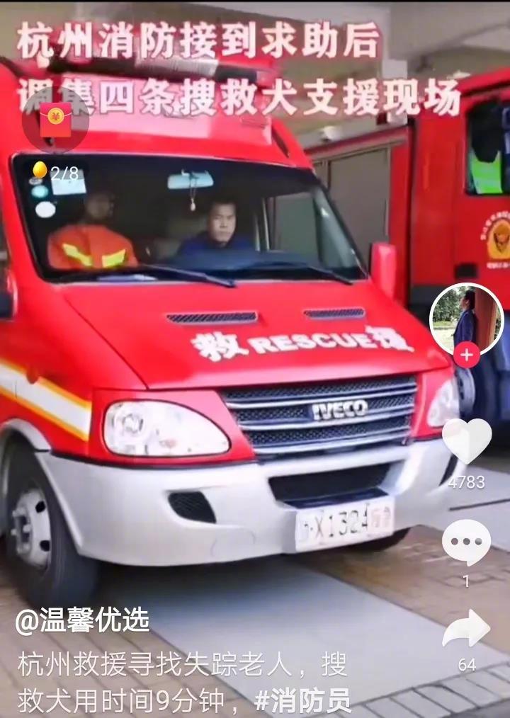 八十多岁老人走失山区，数十人搜寻无果，最后派出四条搜救犬，用时9分钟便将老人找到