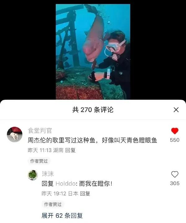 再瞪一个试试