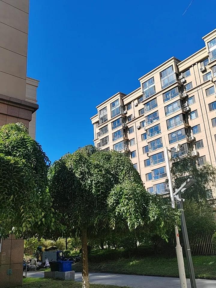 晴空万里，湛蓝色天空，站在小区楼下，感受秋日城市的清爽！