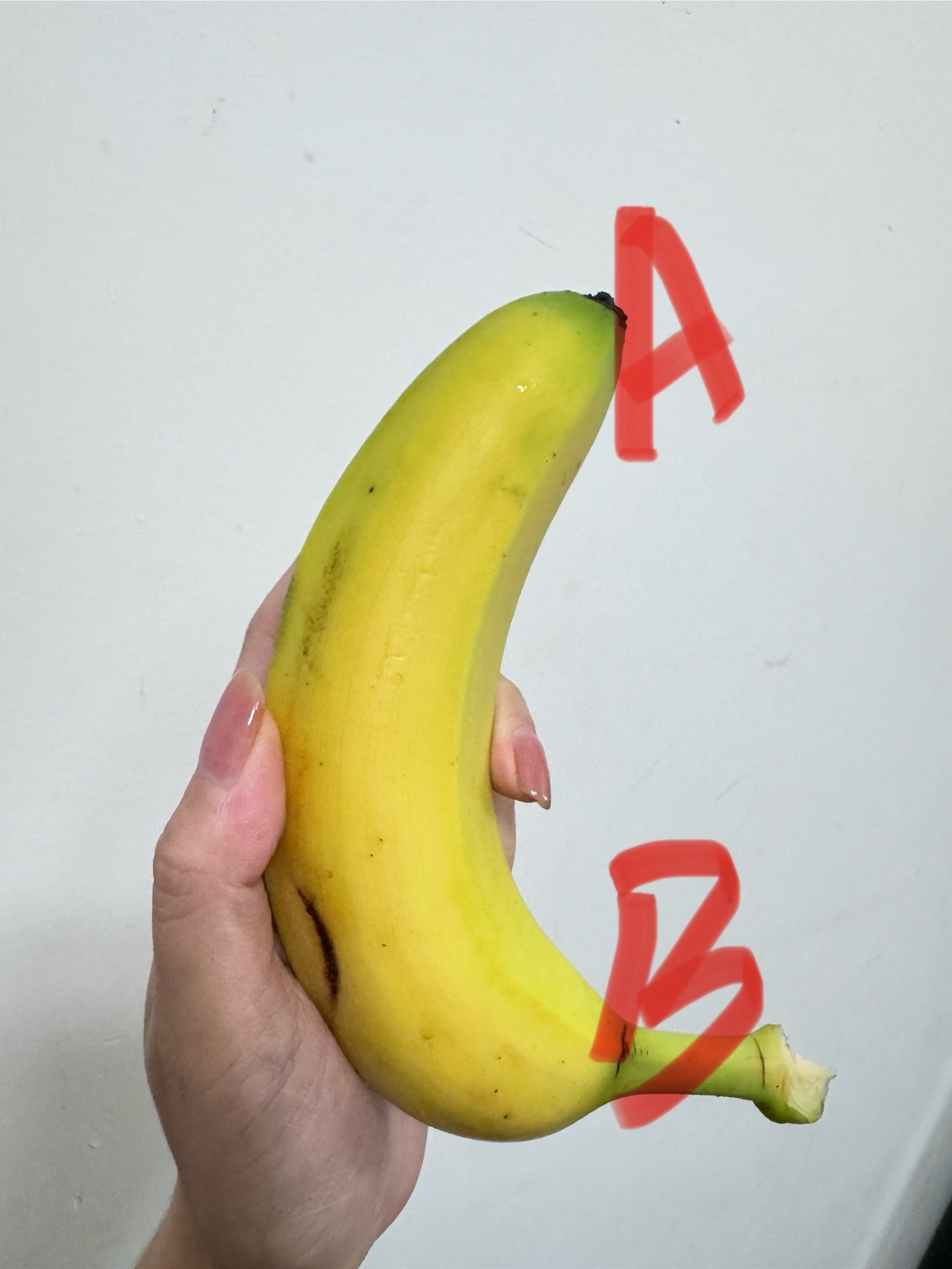 其实我有点好奇你们剥香蕉皮是从哪边剥的？我是 B 端[笑cry] ​​​