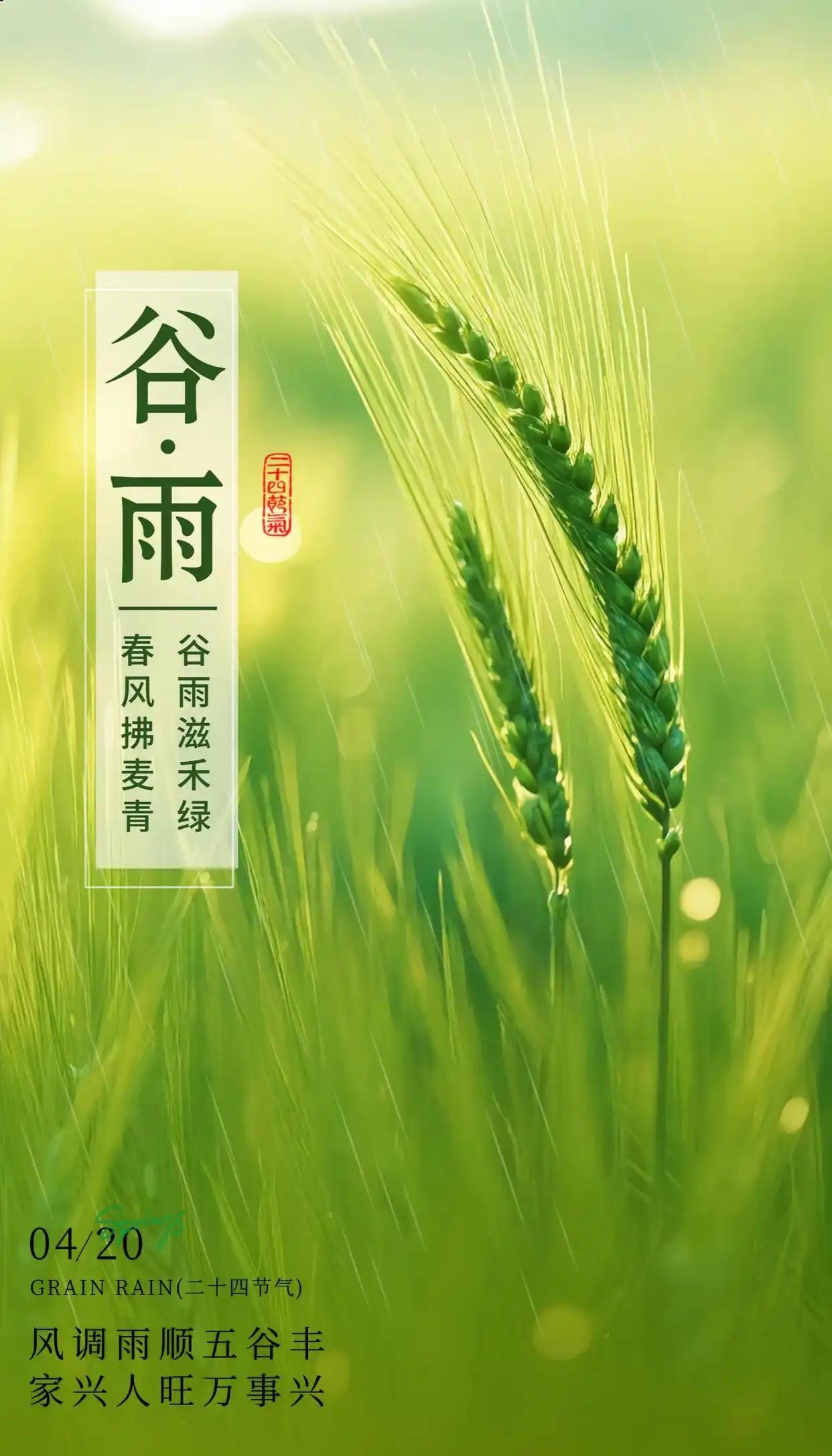 谷雨时节雨绵绵，
润物无声春意添。
田野耕耘人倍忙，
心中祈愿岁丰年。
青山绿水