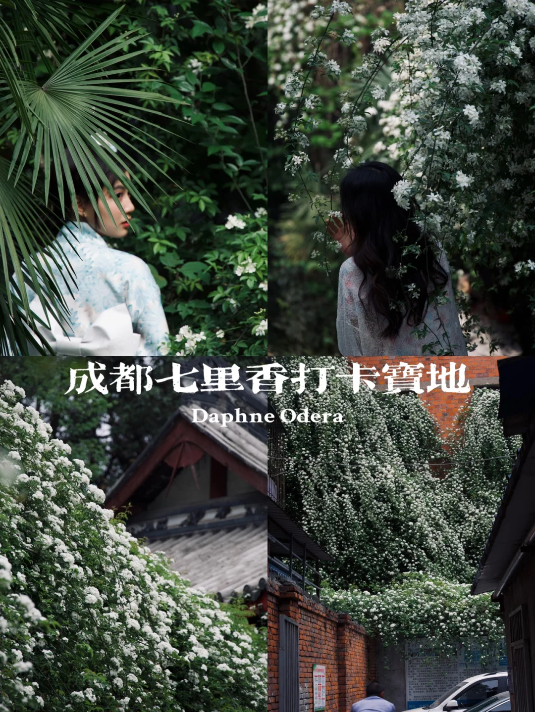 爆了，真的爆了🔥