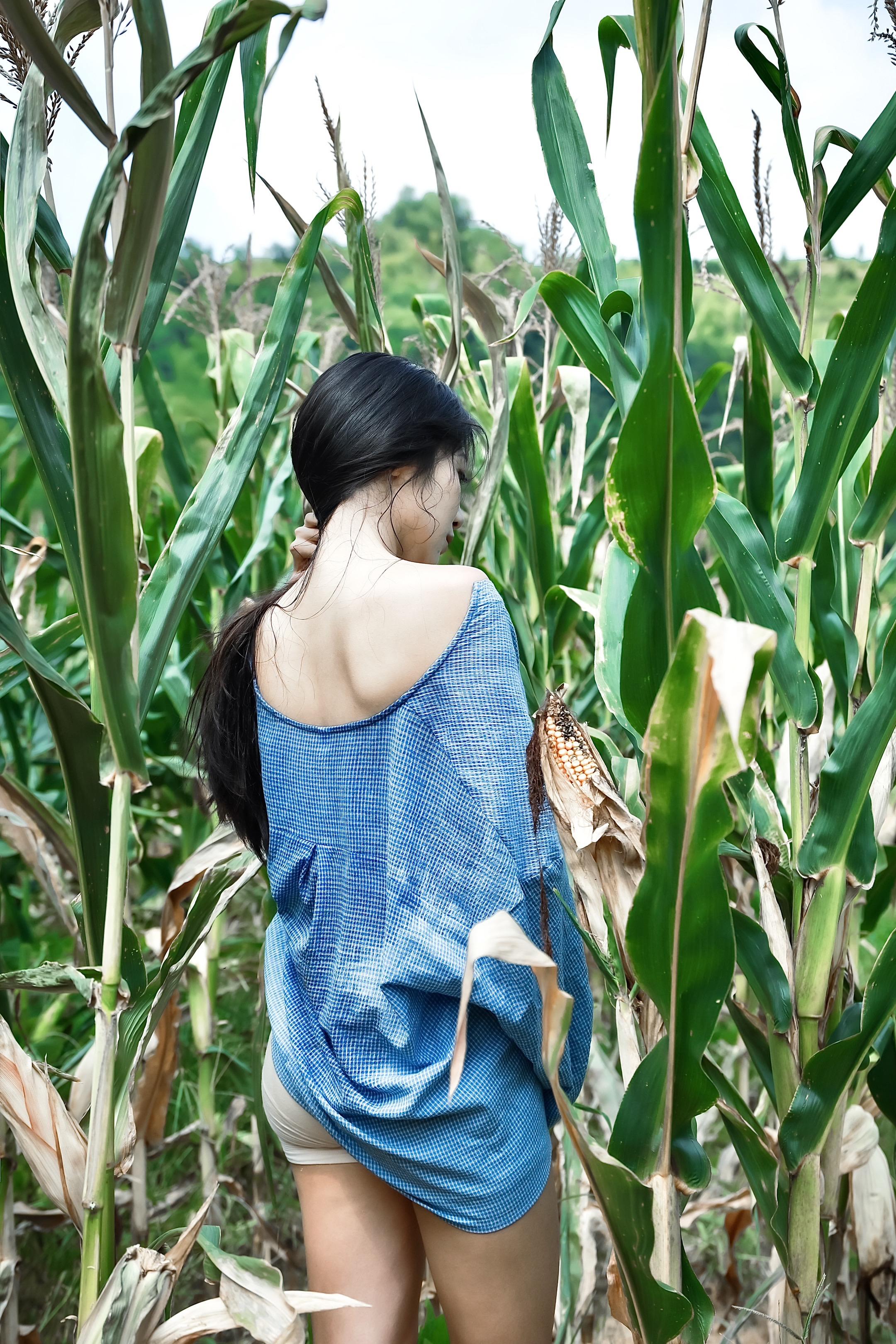 阳光 少女 玉米地｜慵懒惬意的午后。《少女夏日慵懒写真》