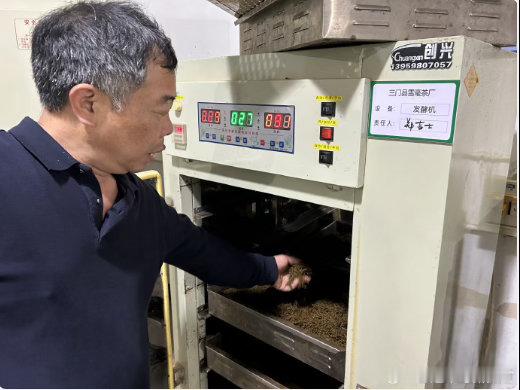 从散到聚台州用一片叶子串起茶农致富链三门珠岙镇年轻干部直播带货销售额超 200 