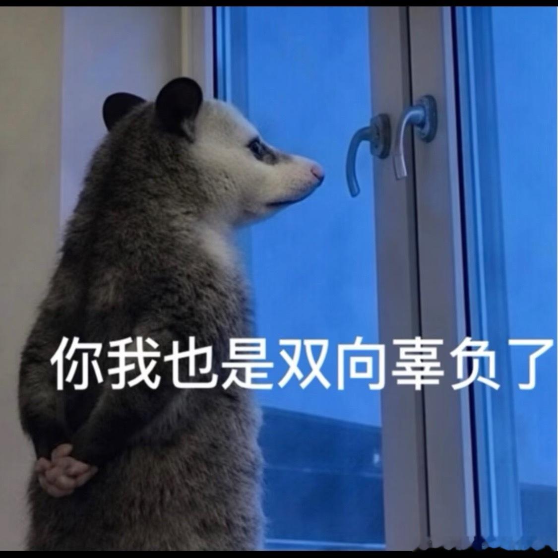 曝90花00生上海定居说白点，内娱恋爱瓜稍稍有点风向，一个月前该知道的就知道了，