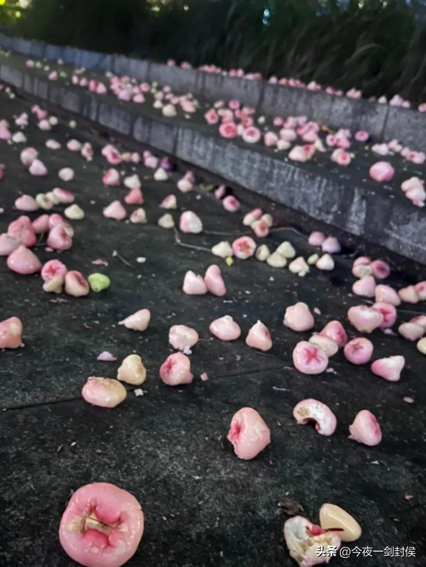 历史是少数人写成的。
如果真的让我一个人穿越到古代，比如战国，我觉得我也无法扭转