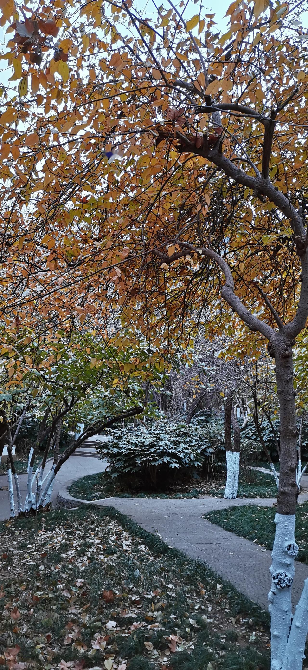 随手拍美丽景色。