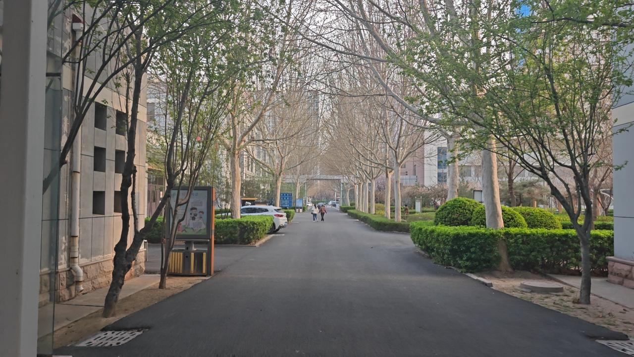 这牛市，无敌！