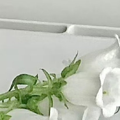 每日一善🌞 阳光信用 🌞每日一善  真正的善良，不是居高临下的施舍，而是平等