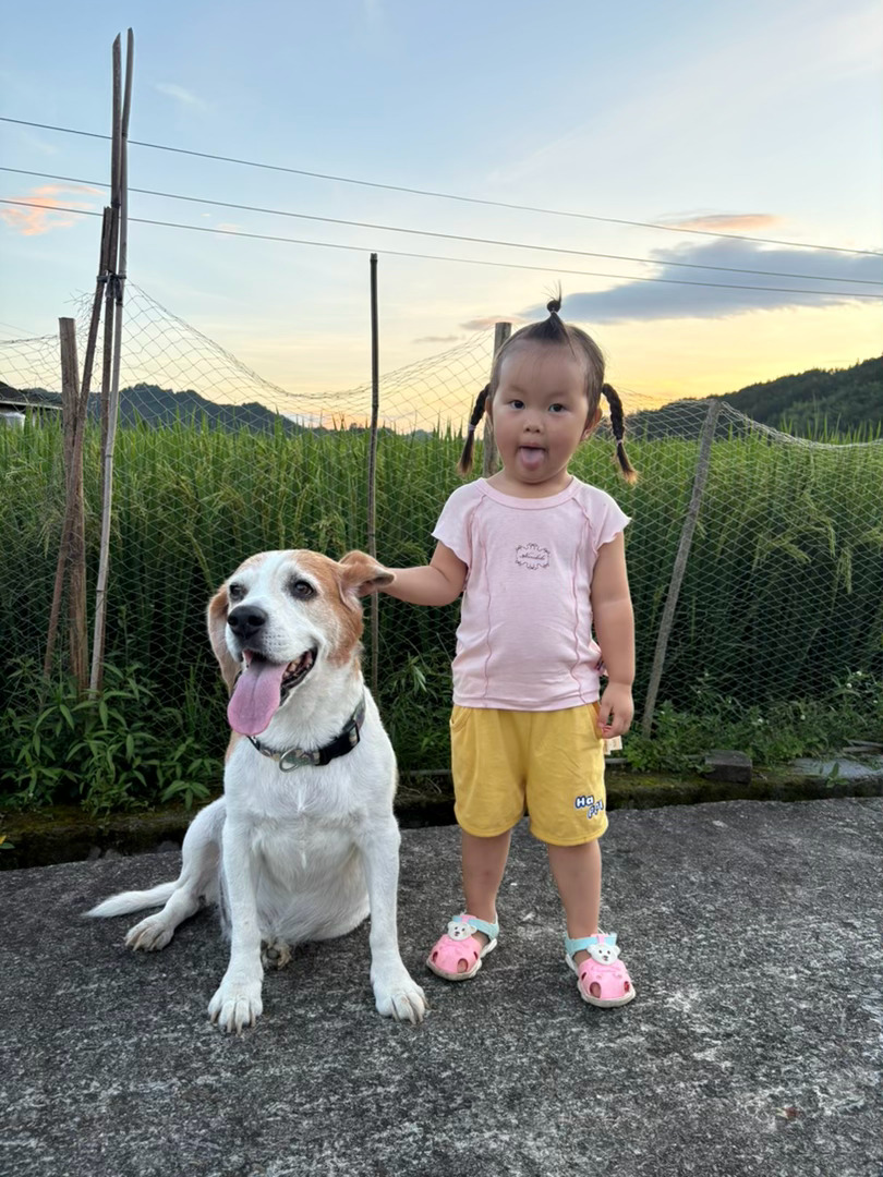 陪我长大🧡狗哥和狗妹