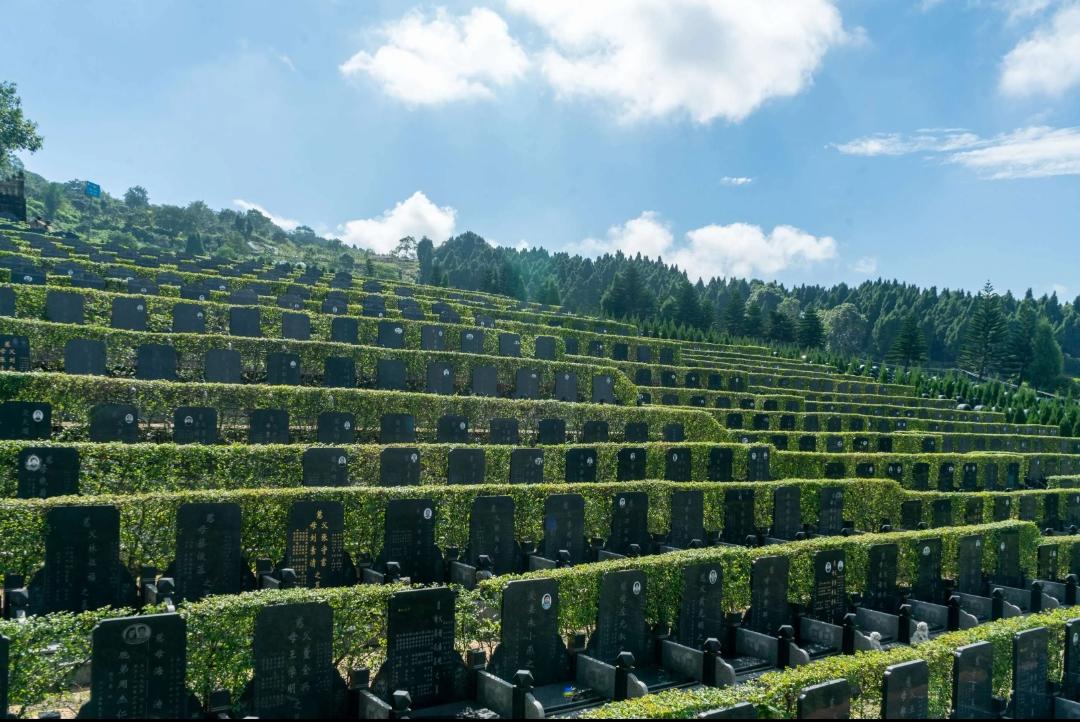  殡葬改革来了！
高价墓、天价盒成历史，
以后身后事越办越省心！
 
家人们，2