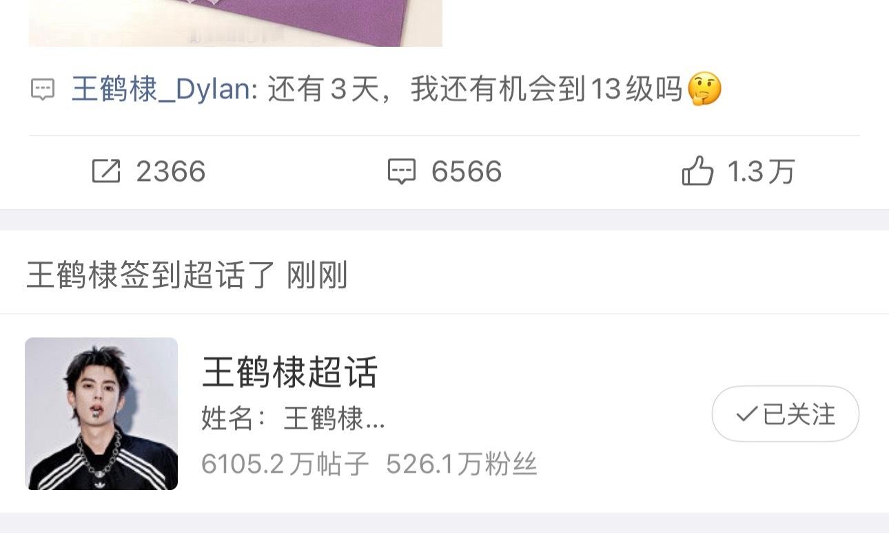 我不行了 太蠢萌了这个猪
