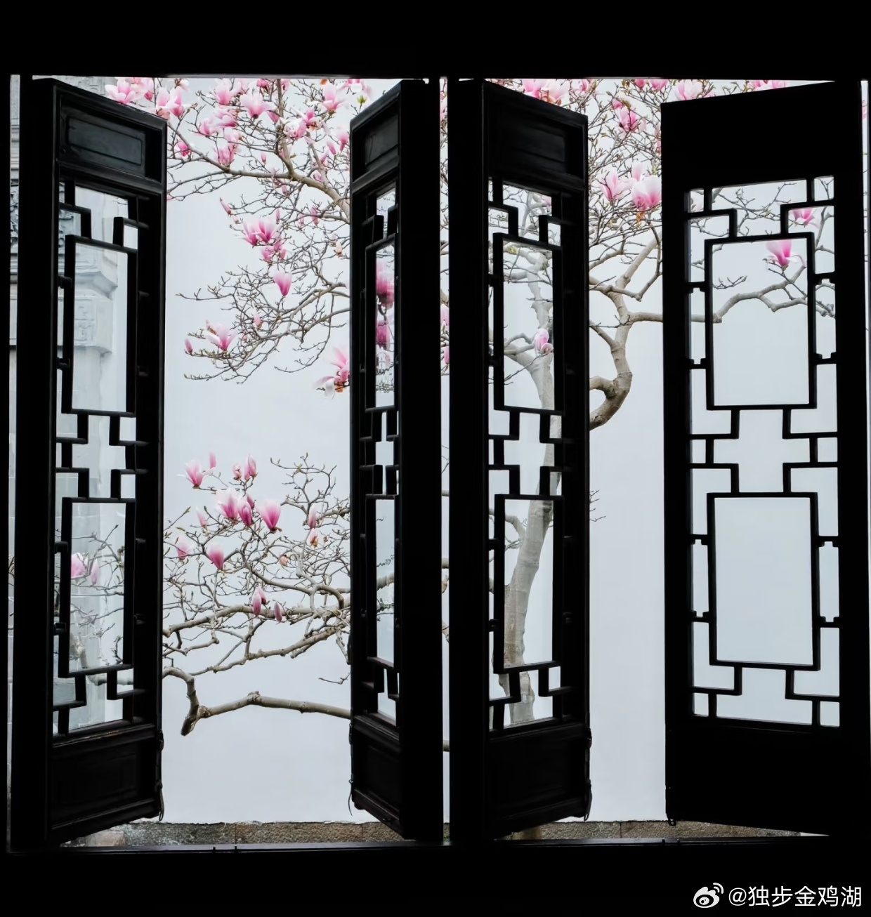 心里话        用热忱的眼睛，打捞日常里的星光。      