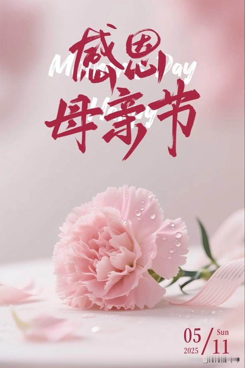 今天是母亲节，
是一个非常重要的节日。
也是母亲的苦日，
在这里，愿天下所有的母