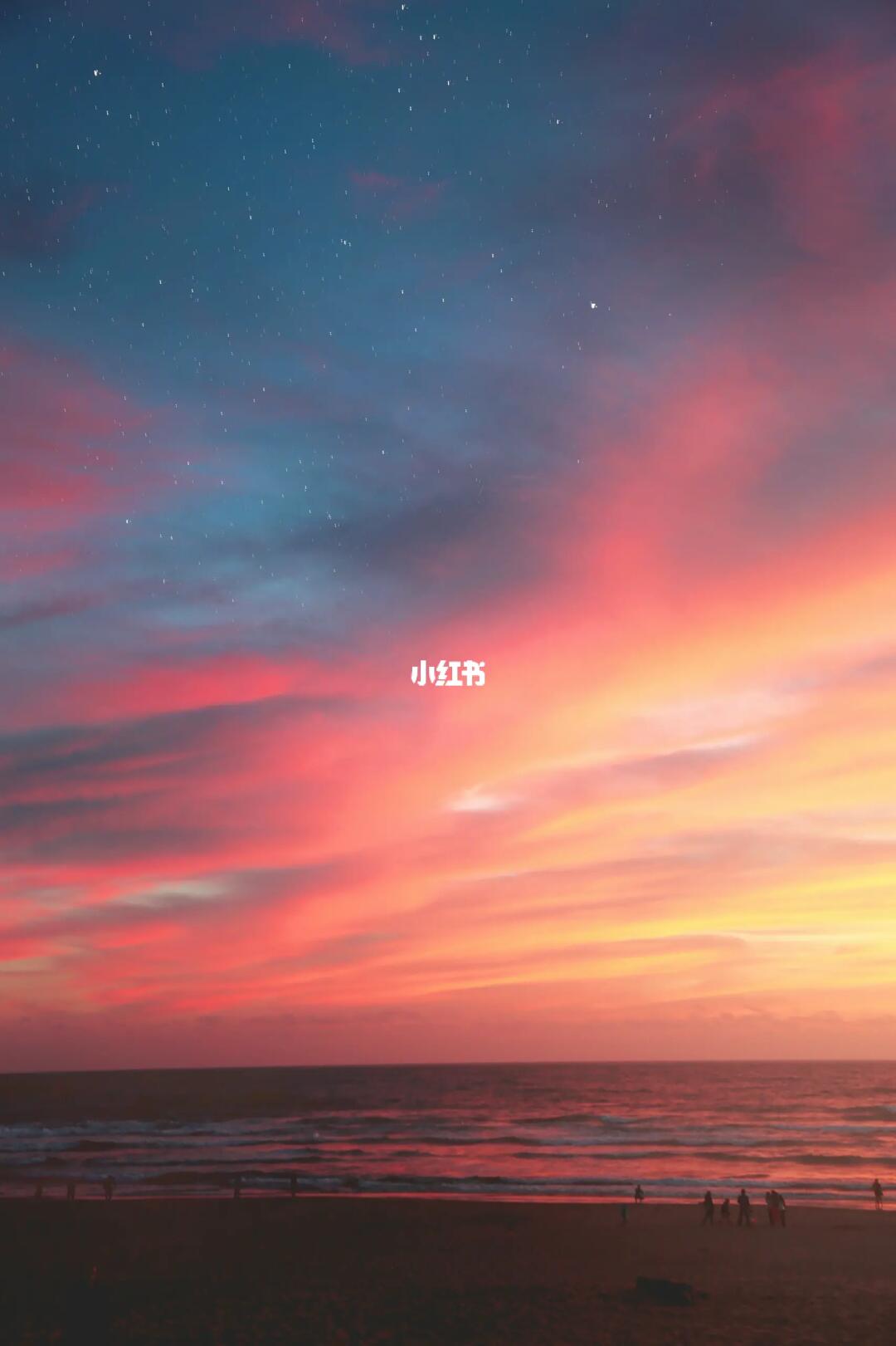 试试不加tag会推给哪些MBTI