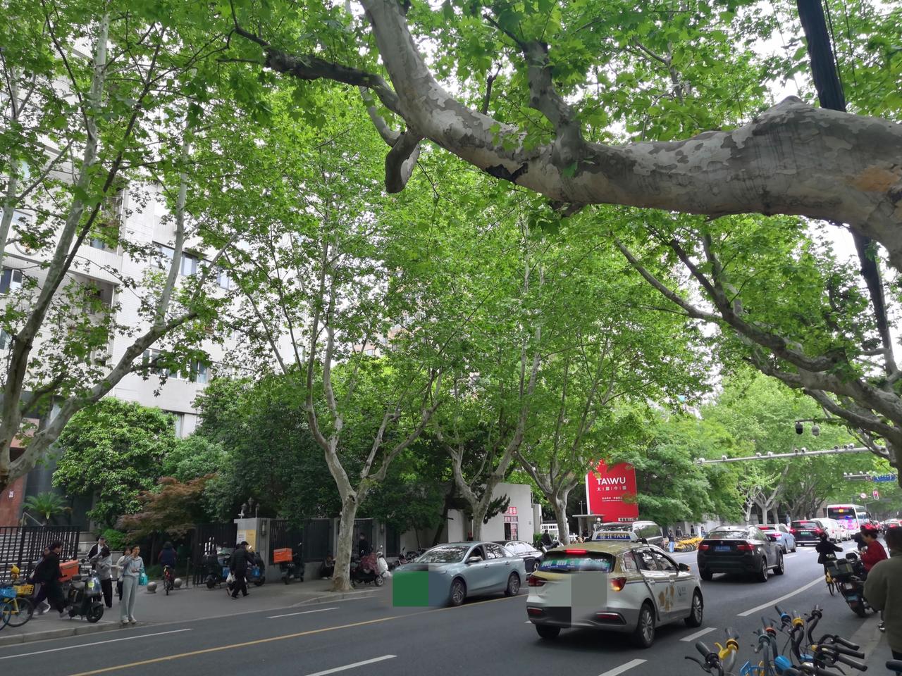 今天早上，老公出门又开车了，理由是:油价下调了，再说有个车子也不能老停放在地下车