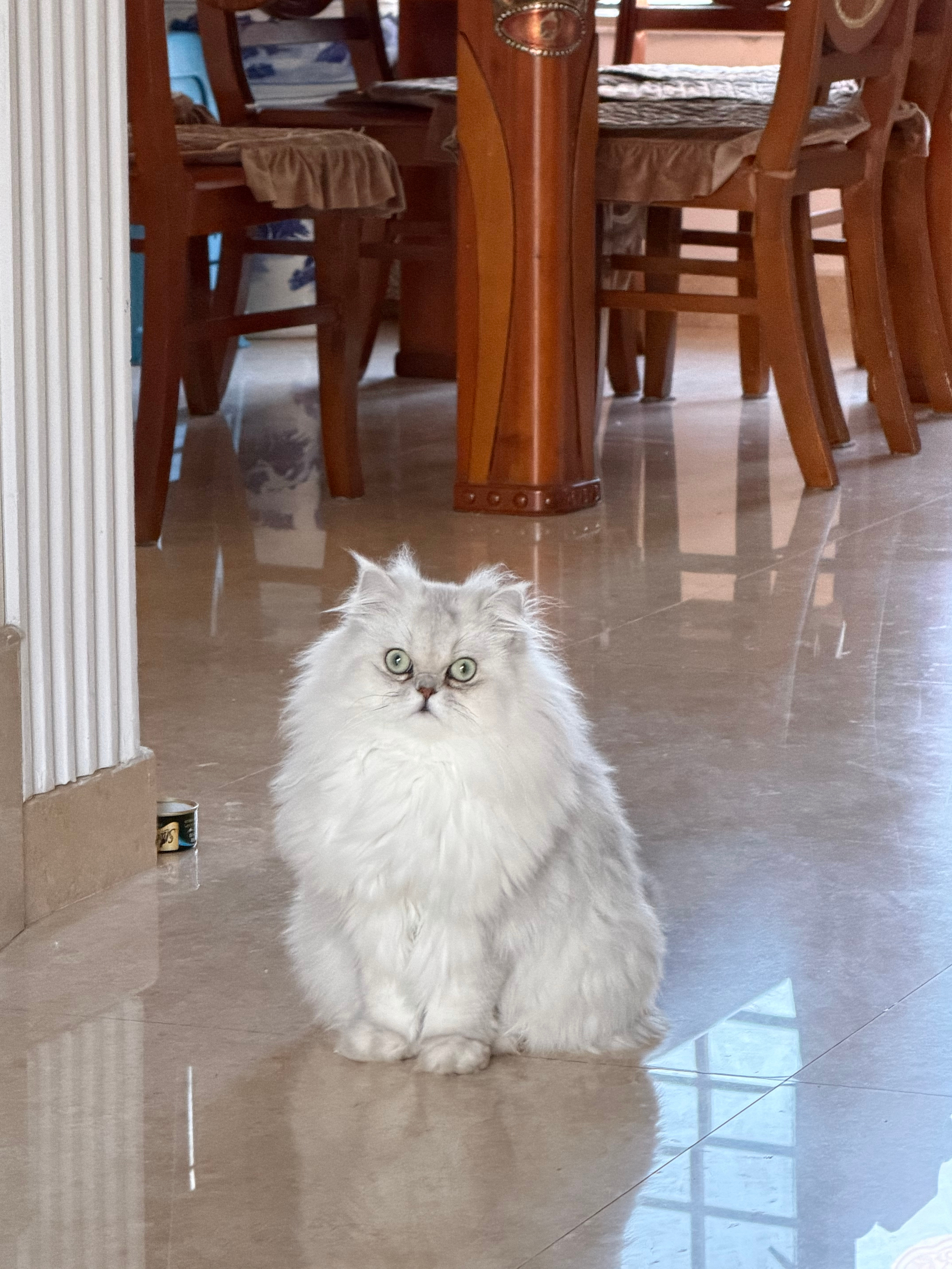 乱七八糟的日常