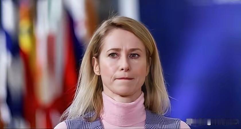 紧急发声！在俄罗斯“榛树”高超音速导弹打击乌克兰后，欧盟外交与安全政策高级代表卡