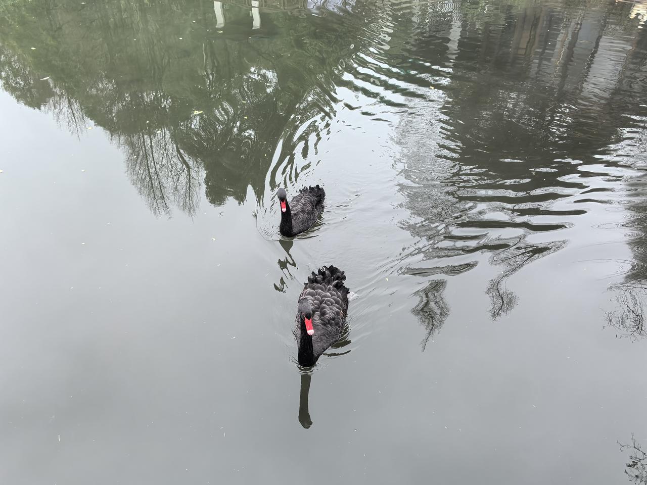 今天立春。昨天下午，一位领导来电，说 : 赵律师，你给我们市委书记的信批到我这里