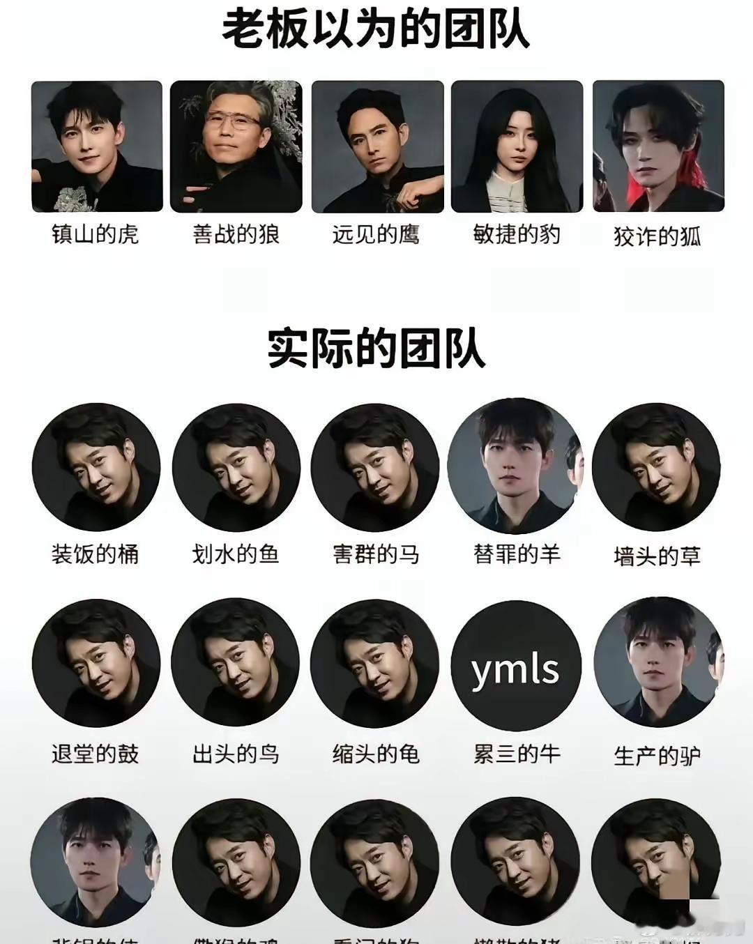 杨洋十年不跳槽，真相只有两个字：股份​他不仅是艺人，还是老板之一​2015年，贾