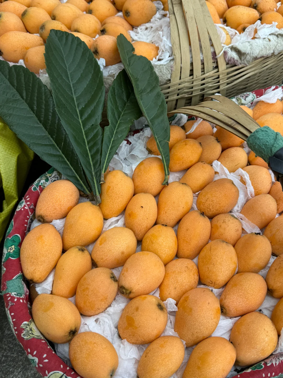 咳嗽不舒服，枇杷叶煮水喝，需要的我可以送