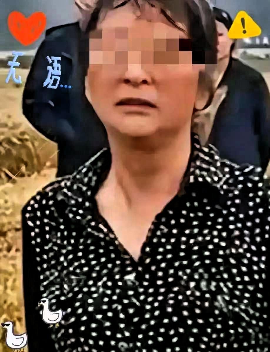 说真的，谁能想到当初闹得满城风雨的“割四赔五”大妈，现在竟成了本地收割机手心里的