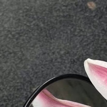 努力的意义，就是，以后的日子里，放眼望去，全部都是自己喜欢的人和事！ 