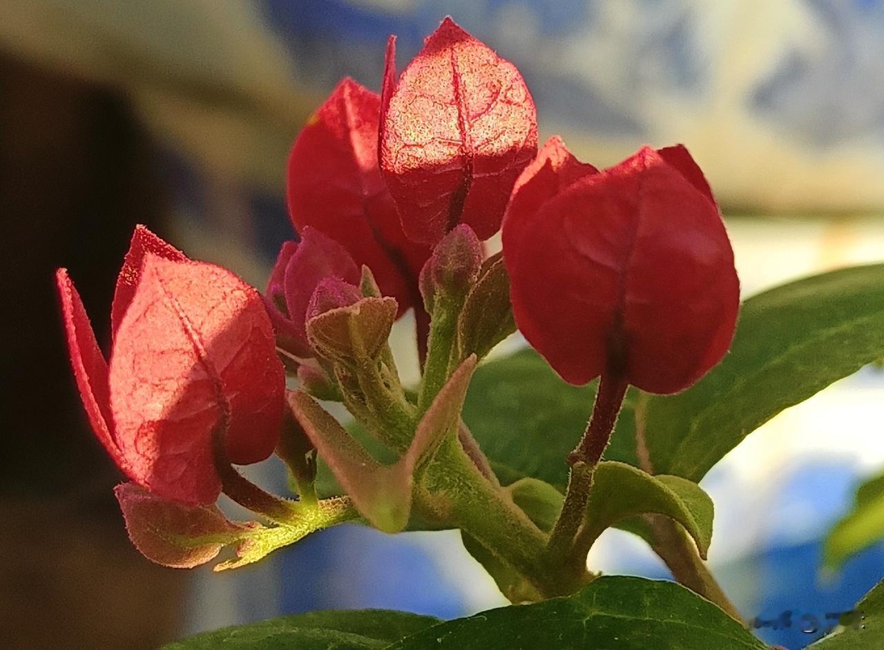 @豆包 帮我点评