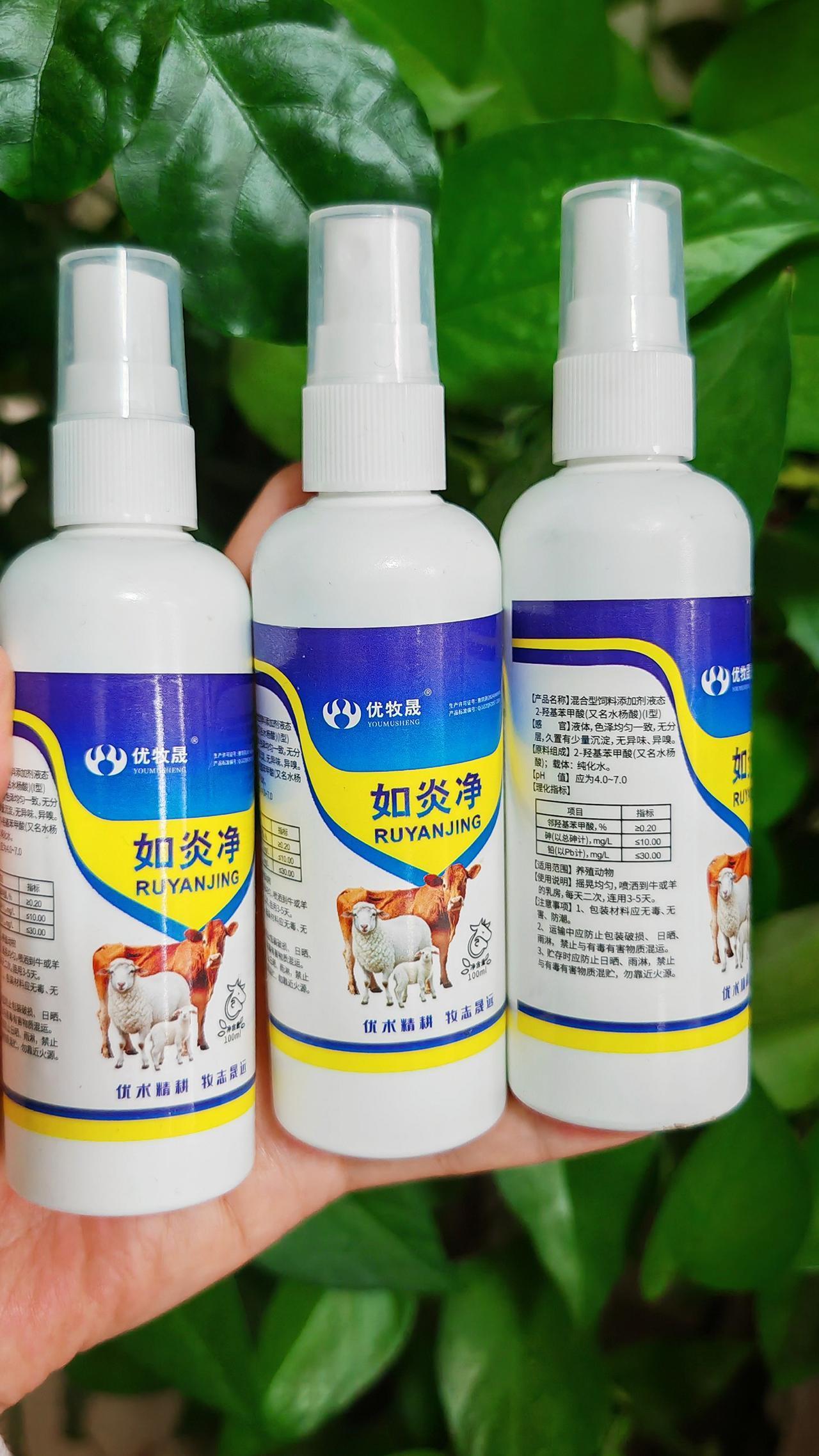 养羊人 农村养羊