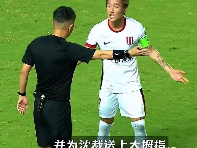 韦世豪一个动作，河南球迷炸了，但事情没那么简单