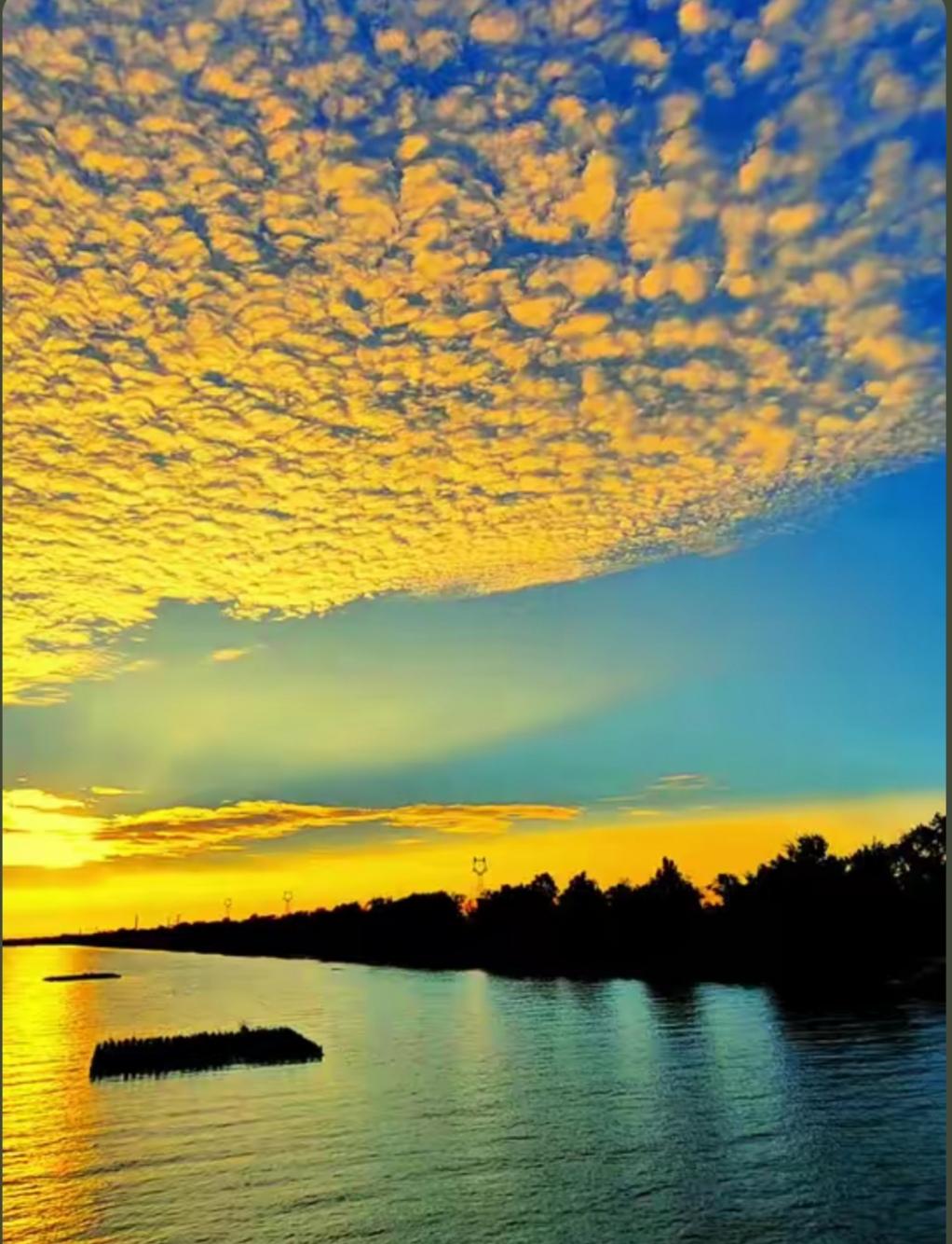 分享一下你随手拍下的照片