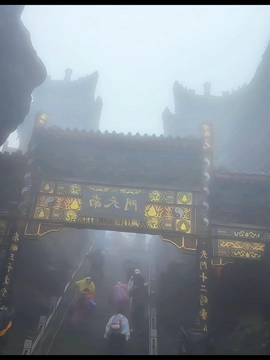 人生剧本