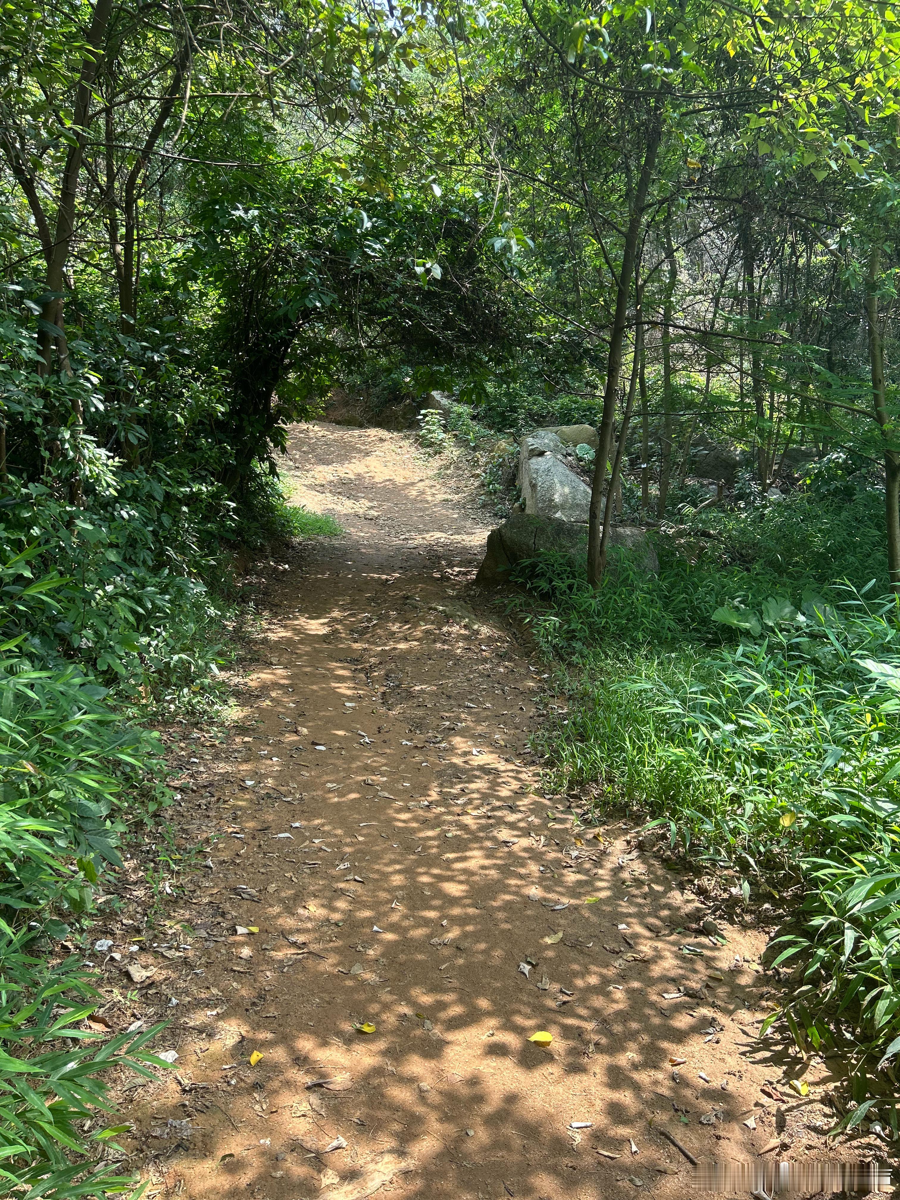 陈家林山（又称陈家林风景区），位于广州市增城区新塘镇西北部，紧邻黄埔区，是广州东