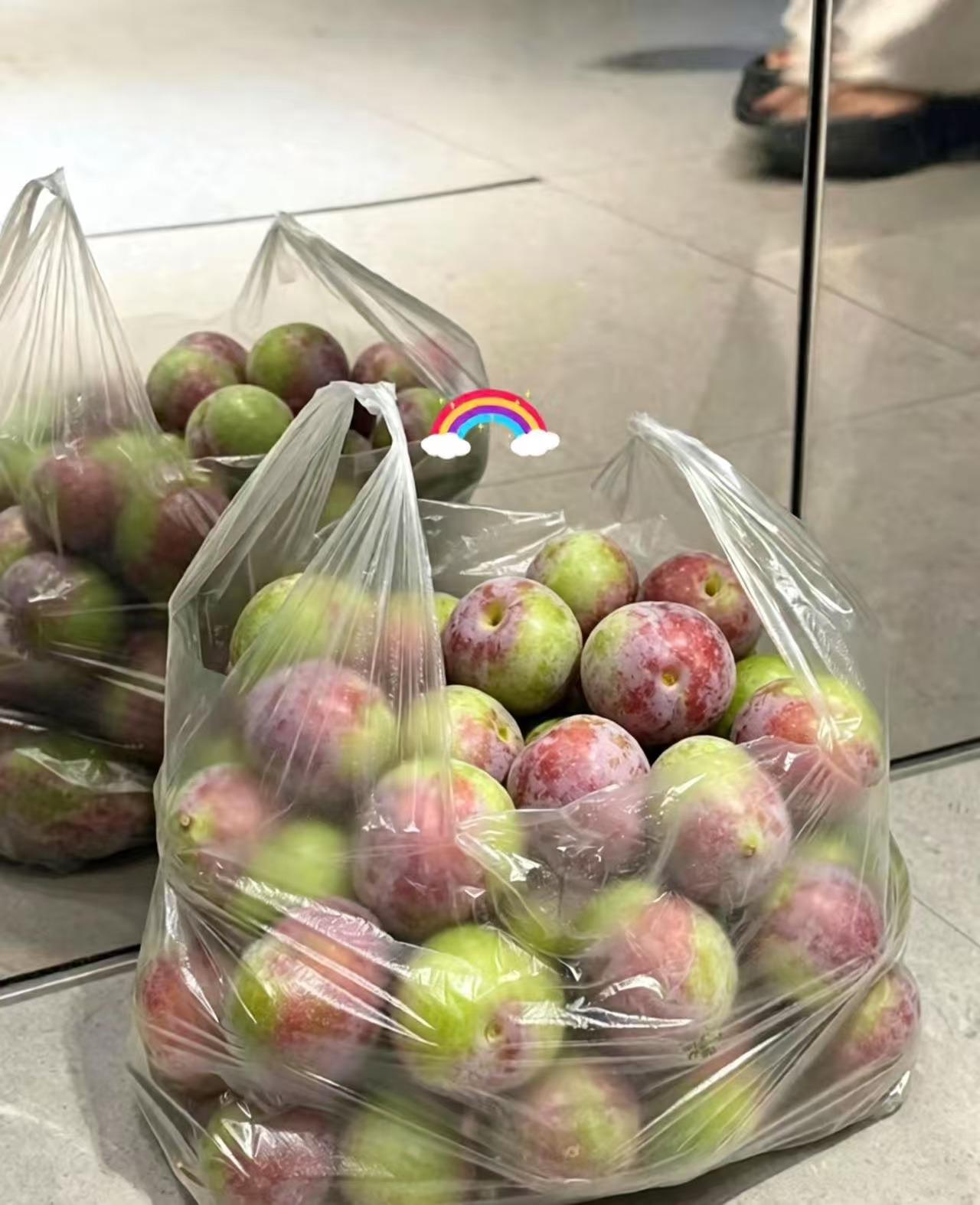 我最爱的李子